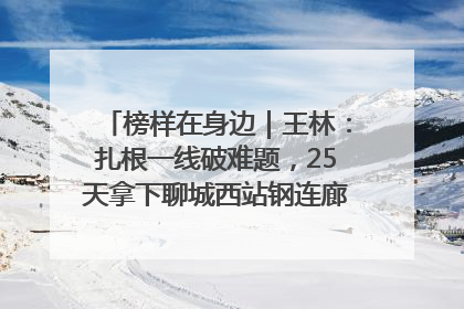 榜样在身边｜王林：扎根一线破难题，25天拿下聊城西站钢连廊“硬核”工程